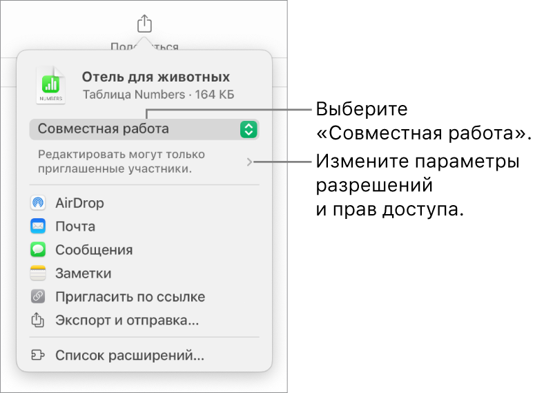 В верхней части экрана отображается меню «Поделиться». Выбран параметр «Совместная работа», под ним находятся настройки прав доступа.