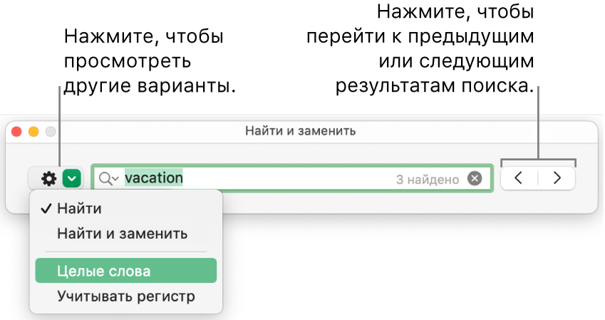 Окно «Найти и заменить» с вынесенной кнопкой отображения параметров «Найти», «Найти и заменить», «Целые слова» и «Регистр». Стрелки справа позволяют переходить к предыдущим и следующим результатам поиска.