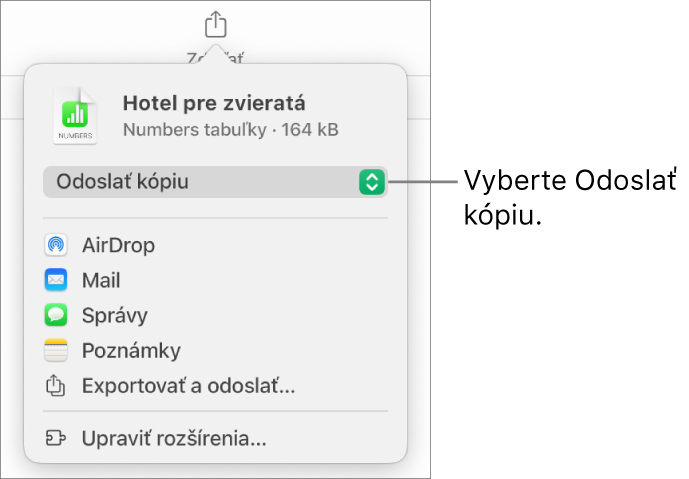 Menu Zdieľať s vybranou možnosťou Odoslať kópiu vo vrchnej časti.