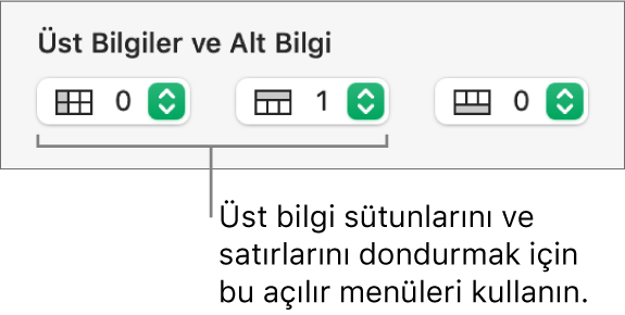 Bir tabloya üst bilgi ve altlık sütunları ve satırları eklemek ve üst bilgi satırlarını ve sütunlarını dondurmak için kullanılan açılır menüler.