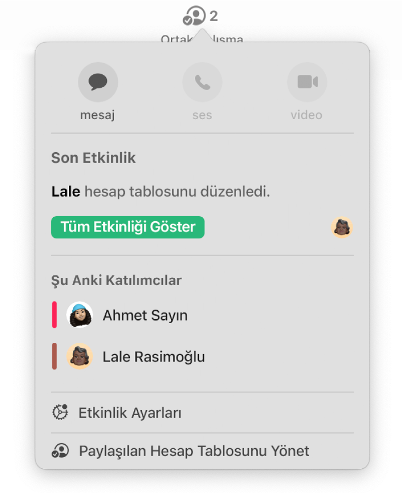 Hesap tablosunda ortak çalışan kişilerin adlarını gösteren Ortak Çalışma menüsü. Paylaşma seçenekleri adların altındadır.