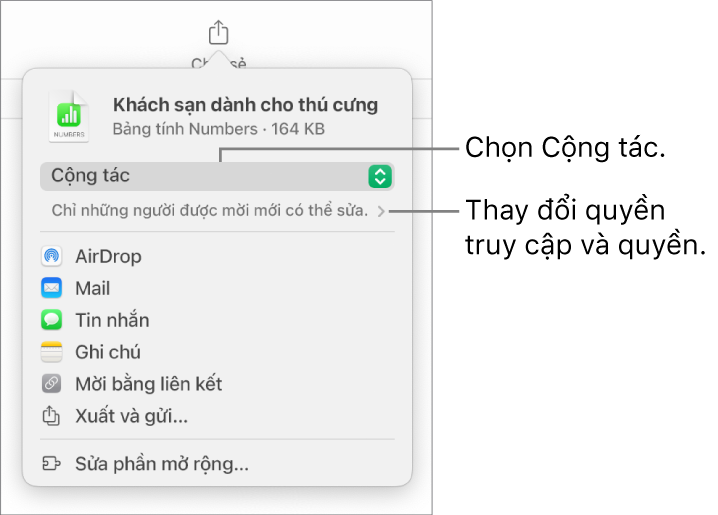 Menu Chia sẻ với Cộng tác được chọn ở trên cùng và các cài đặt quyền truy cập và quyền ở bên dưới.