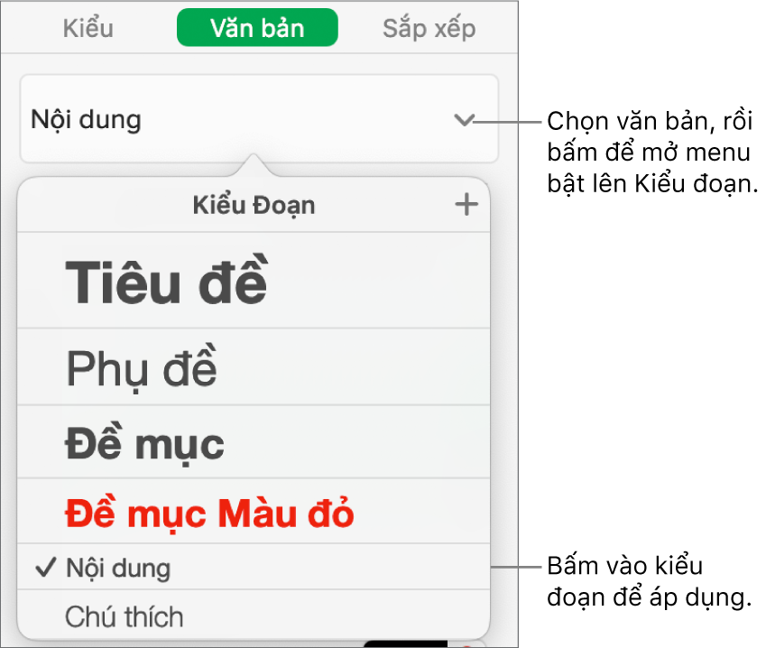 Menu Kiểu đoạn với dấu chọn bên cạnh kiểu được chọn.