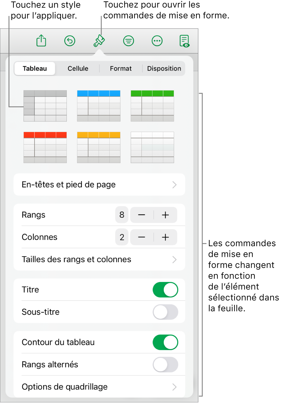 Onglet Tableau du bouton Format.