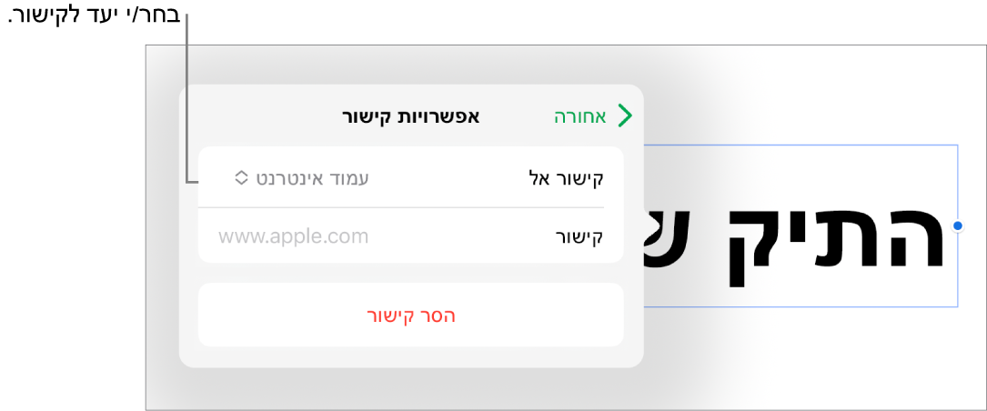 כלי הבקרה של ״אפשרויות קישור״ כאשר האפשרות ״עמוד אינטרנט״ נבחרת ובחלק התחתון מוצג הכפתור ״הסר קישור״.