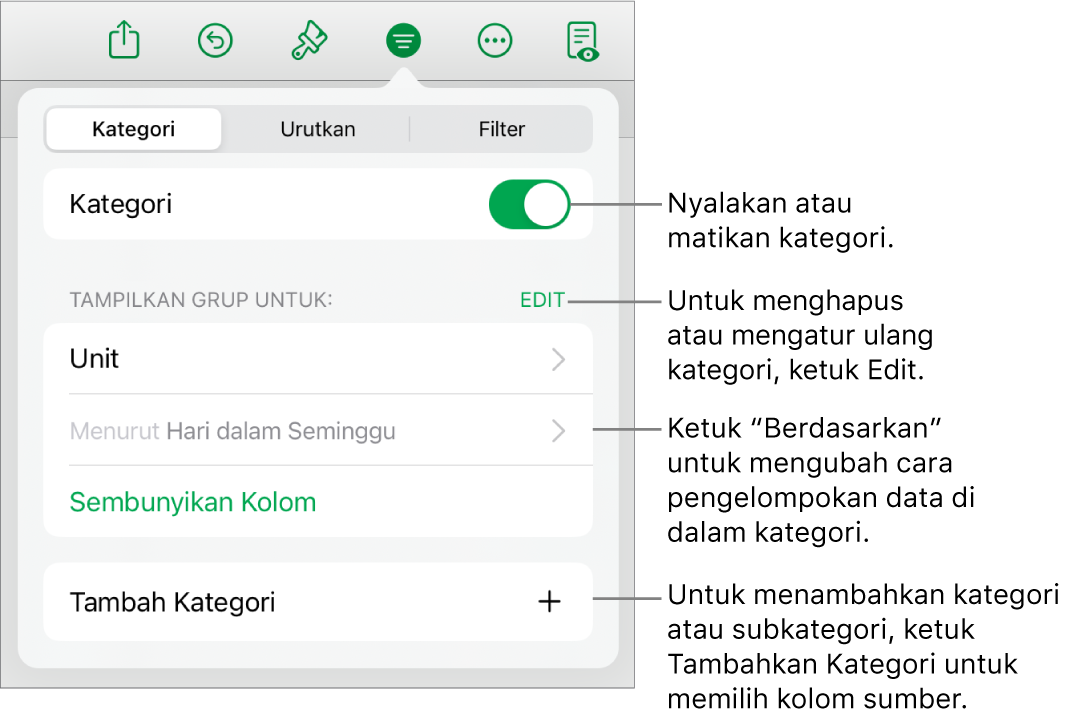 Menu Kategori untuk iPad dengan pilihan untuk mematikan kategori, menghapus kategori, mengelompokkan ulang data, menyembunyikan kolom sumber, dan menambah kategori.