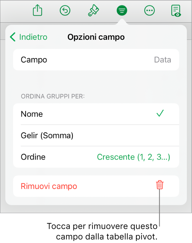 Il menu “Opzioni campo” che mostra i controlli per raggruppare e ordinare i dati, nonché le opzioni per rimuovere un campo.