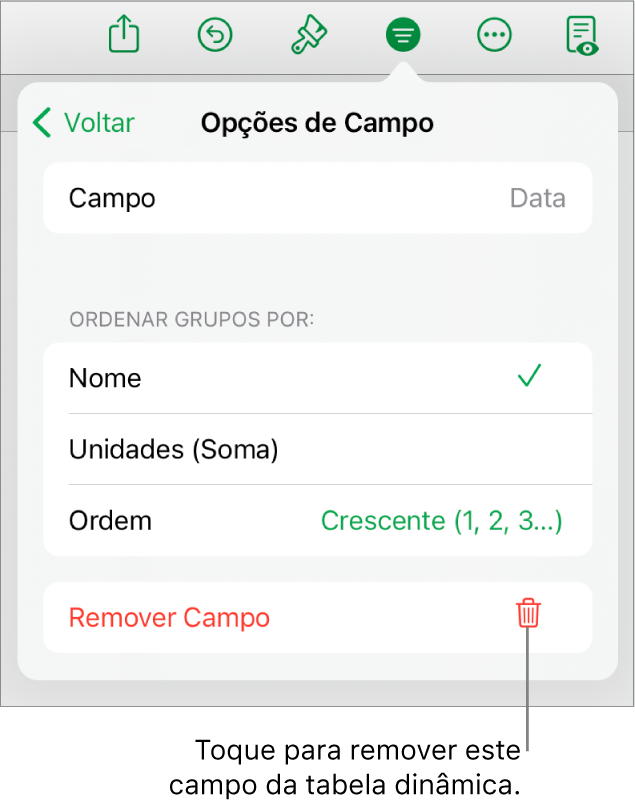 O menu Opções de Campo, mostrando os controles para agrupar e classificar dados, assim como a opção de remover um campo.
