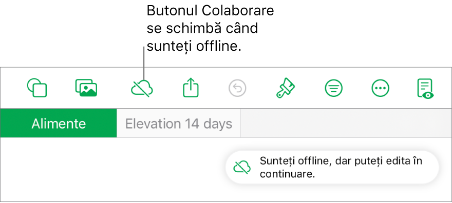 Butoanele din partea de sus a ecranului, cu butonul Colaborare transformat într-un nor traversat de o linie diagonală. Pe ecran apare o alertă „Sunteți offline, dar puteți edita în continuare”.