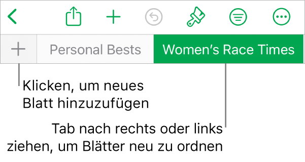 Tableiste zum Hinzufügen eines neuen Blatts und zum Navigieren, Neuanordnen und Neusortieren von Blättern.
