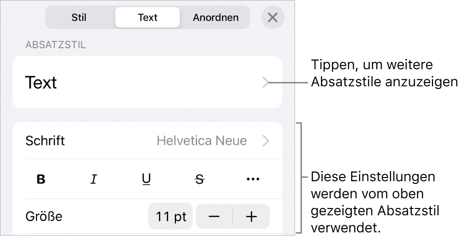 Das Menü „Format“ mit Textsteuerelementen zum Festlegen von Absatz- und Zeichenstilen, Schrift, Größe und Farbe