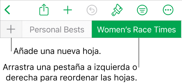 La barra de pestañas para añadir una nueva hoja, navegar, reordenar y reorganizar las hojas.