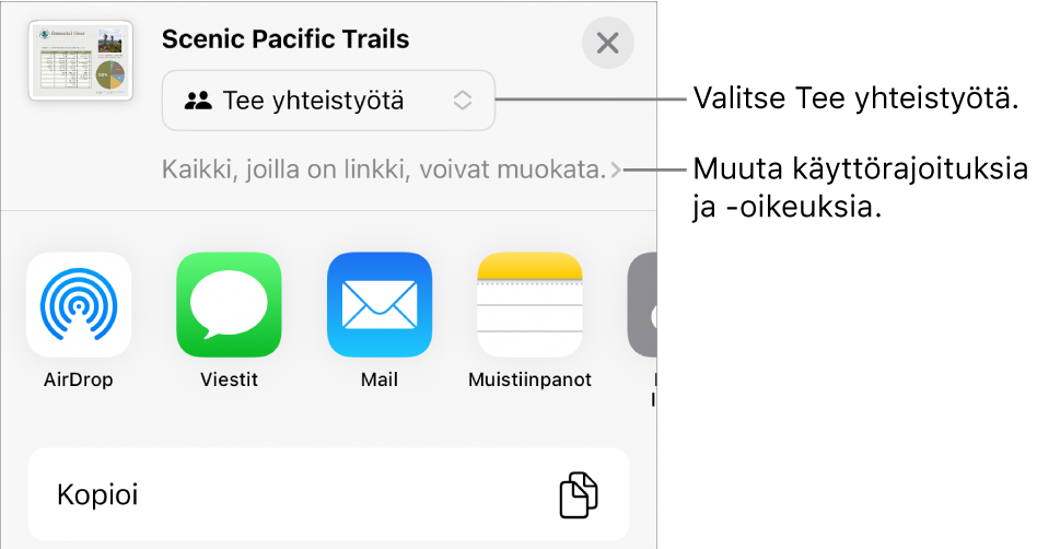 Jaa-valikko, jossa on ylhäällä valittuna Tee yhteistyötä, ja sen alla ovat käyttöoikeus- ja lupa-asetukset.