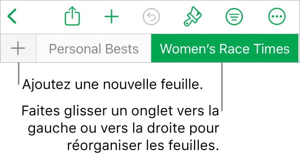 Barre des onglets pour ajouter une feuille, naviguer et réorganiser les feuilles.