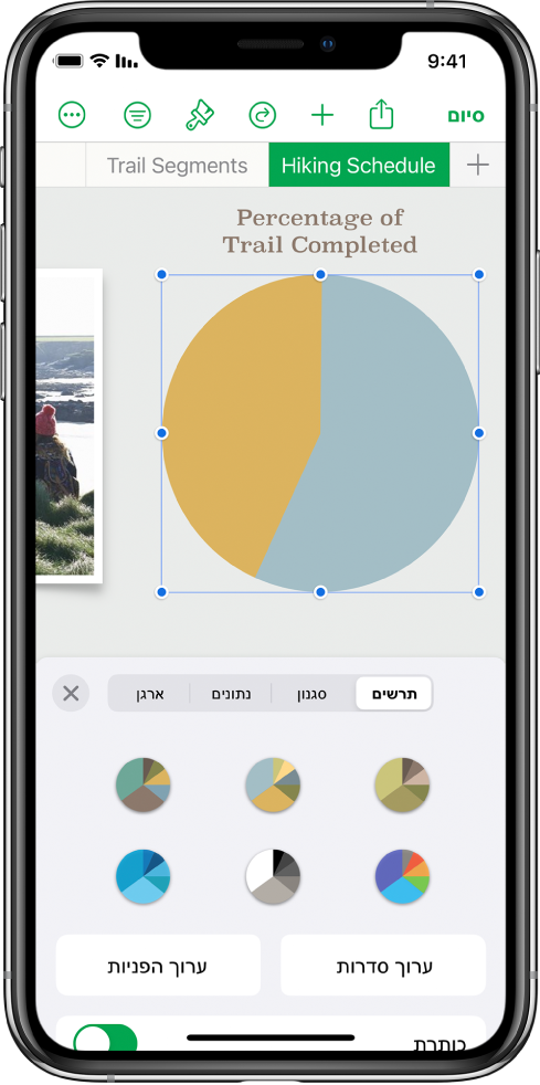 תרשים עוגה המציג אחוזים של מסלולים שהושלמו. התפריט ״עיצוב״ פתוח גם הוא, ומציג סגנונות לבחירה, כמו גם אפשרויות לעריכת הסדרות או ההפניות לתאים ולהפעלה או ביטול של שם התרשים או המקרא.