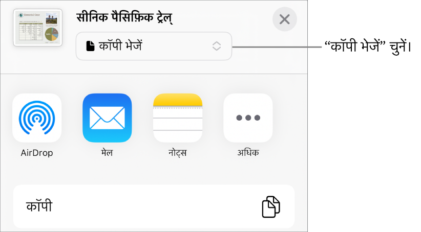 “शेयर करें” मेनू जिसके शीर्ष पर “कॉपी भेजें” चुना गया है।