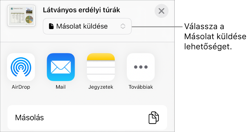 A Megosztás menü a felül elhelyezkedő Másolat küldése lehetőséggel.
