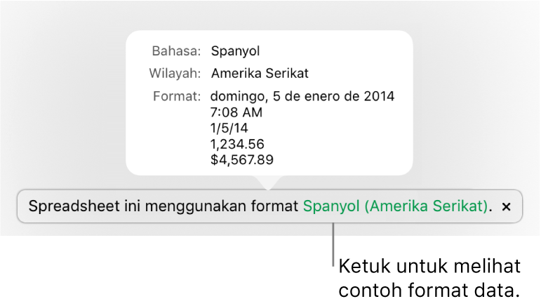 Pemberitahuan pengaturan bahasa dan wilayah yang berbeda, menunjukkan contoh format dalam bahasa dan wilayah tersebut.