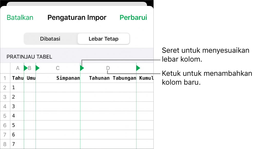 Pengaturan impor untuk file teks lebar tetap.