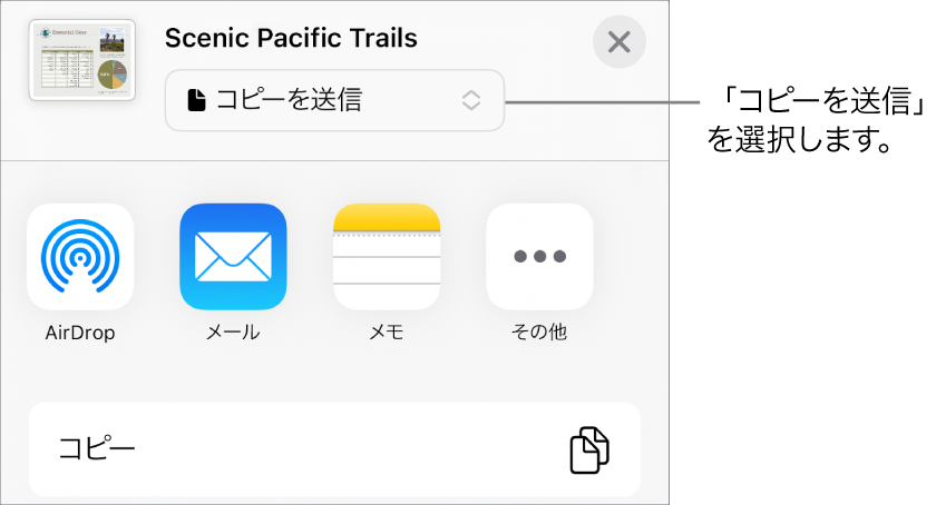 「共有」メニュー。上部で「コピーを送信」が選択されています。