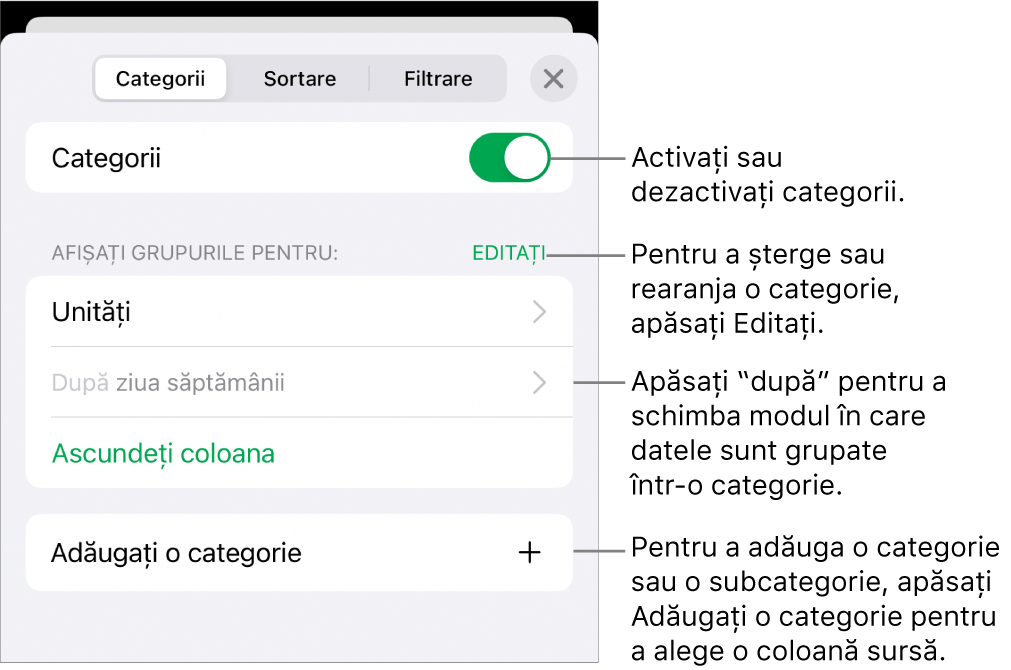 Meniu Categorii pentru iPhone cu opțiuni pentru a dezactiva categoriile, șterge categoriile, regrupa datele, ascunde o coloană sursă și a adăuga categorii.