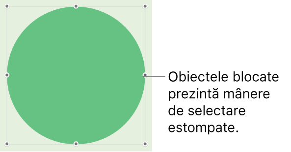 Un obiect blocat cu mânere de selecție estompate.