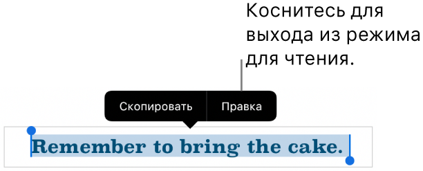 Выбрано предложение; над ним отображается контекстное меню с кнопками «Скопировать» и «Правка».