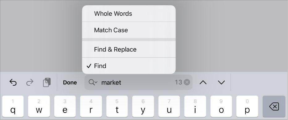 The search options menu with Find, Find and Replace, Match Case, and Whole Words.