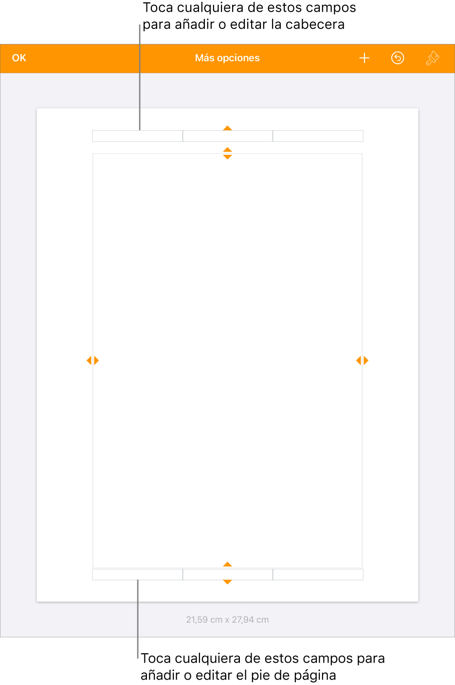 La visualización “Más opciones” con tres campos en la parte superior del documento para las cabeceras y tres campos en la parte inferior para los pies de página.