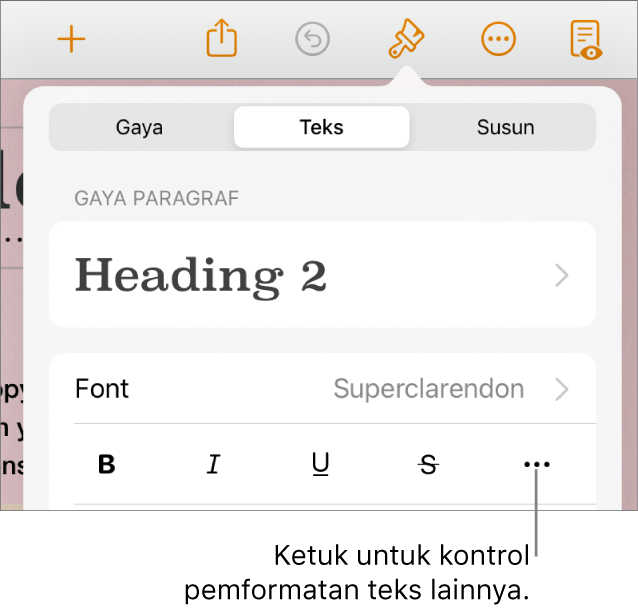 Tab teks pada kontrol Format, dengan keterangan ke tombol Pilihan Teks Lainnya.