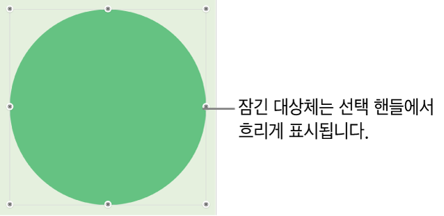 흐리게 표시된 선택 영역 핸들이 있는 잠겨 있는 대상체.