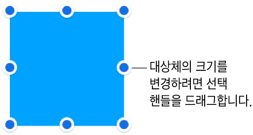 대상체의 크기를 조절하기 위해 테두리에 파란색 점이 있는 대상체.
