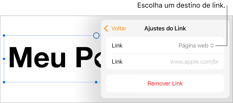 Controles de “Ajustes do Link” com “Página Web” selecionado e o botão “Remover Link” na parte inferior.