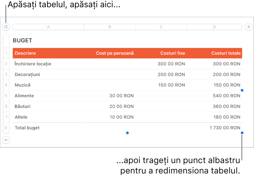 Un tabel selectat, cu puncte albastre pentru redimensionare.