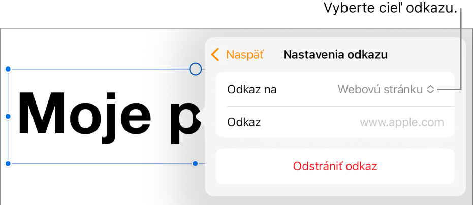 Ovládacie prvky nastavení odkazov s vybranou položkou Webová stránka a tlačidlom Odstrániť odkaz v dolnej časti.