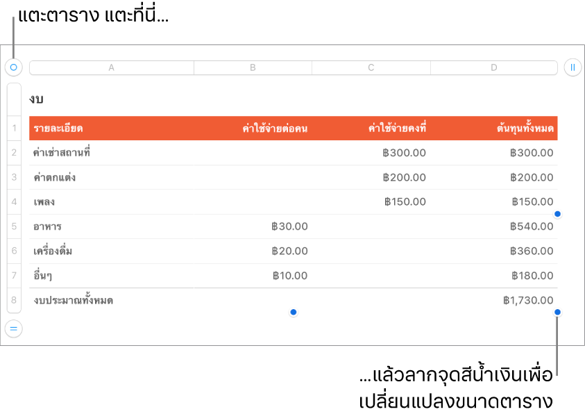 ตารางที่เลือกอยู่พร้อมจุดสีน้ำเงินสำหรับปรับขนาด