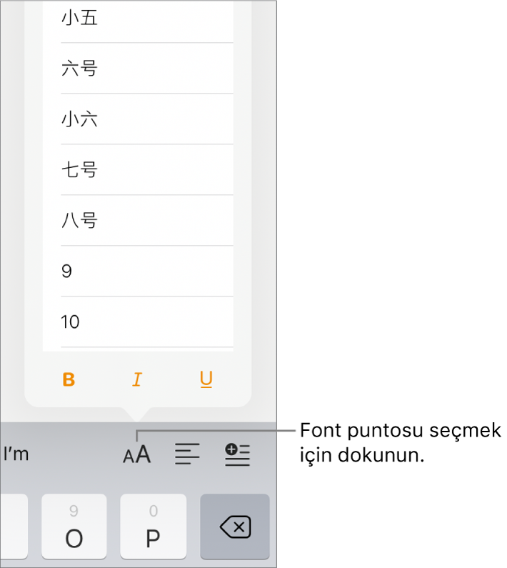 iPad klavyesinin sağ tarafında, Font Puntosu menüsü açık olarak gösterilen Font Puntosu düğmesi. Çin ana karası hükümeti standardındaki font puntoları menünün en üst kısmında, diğer puntolar ise bunun altında görünür.