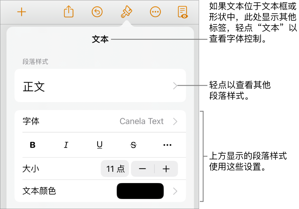 显示文本控制的“格式”菜单，用于设定段落和字符样式、字体、大小和颜色。