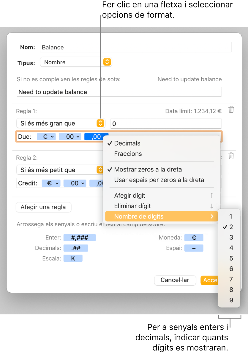 La finestra de format de cel·la personalitzat, amb controls per seleccionar les opcions de format personalitzat.