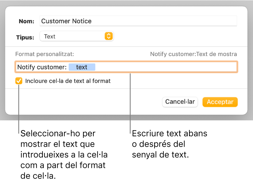 La finestra de format de cel·la personalitzat, amb controls per seleccionar el format de text personalitzat.