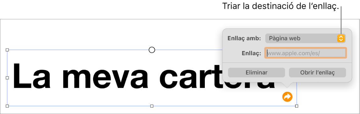 Controls de l’editor d’enllaços amb l’opció “Pàgina web” seleccionada i els botons “Eliminar” i “Obrir l’enllaç” situats a la part inferior.