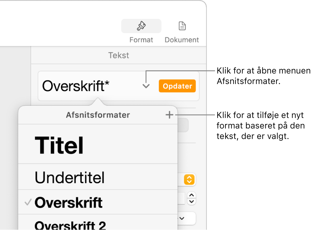 Menuen Afsnitsformater med betjeningsmuligheder til tilføjelse eller ændring af et format.