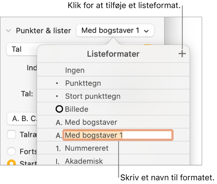 Lokalmenuen Listeformater med knappen Tilføj i øverste højre hjørne og et eksempel på et formatnavn med teksten valgt.