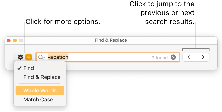 The Find & Replace window with callouts to the button to show options for Find, Find & Replace, Whole Words and Match Case; navigation arrows are on the right.
