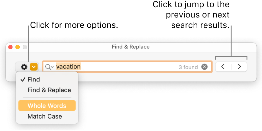 The Find & Replace window with callouts to the button to show options for Find, Find & Replace, Whole Words, and Match Case; navigation arrows are on the right.