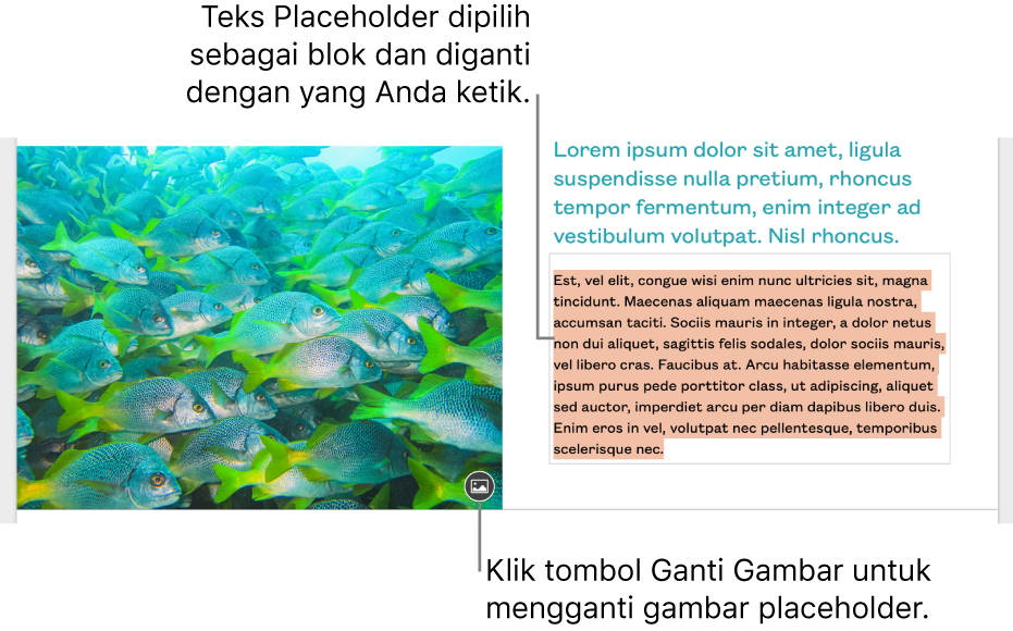 Teks dan gambar placeholder.