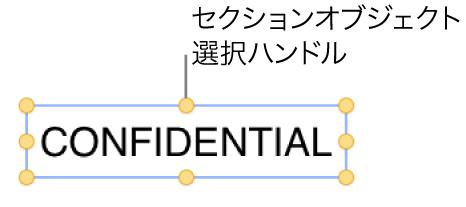 選択ハンドルのあるオブジェクト。