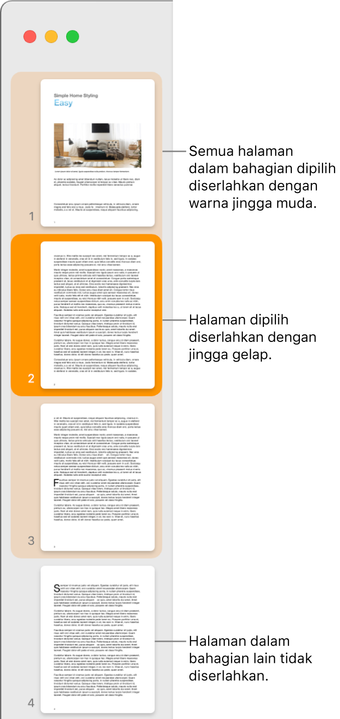 Bar sisi Paparan Imej Kecil dengan halaman dipilih diserlahkan dengan warna jingga gelap dan semua halaman dalam bahagian dipilih diserlahkan dengan warna jingga muda.