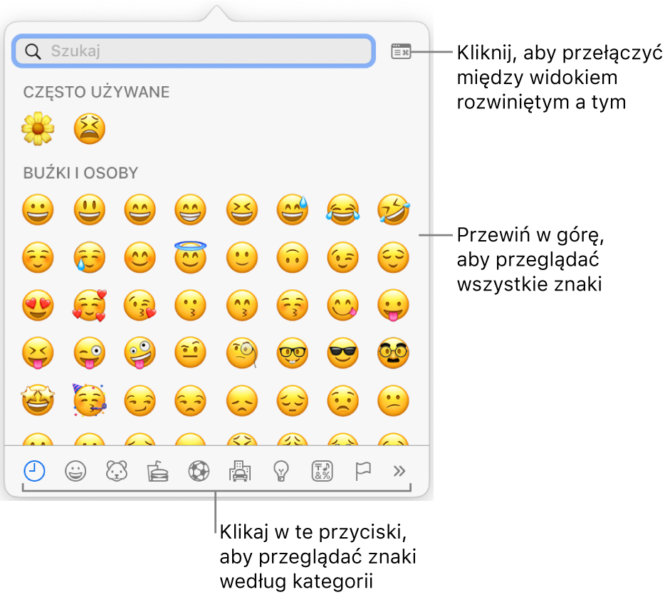 Pole podręczne Znaki specjalne zawierające emotikony. Na dole znajdują się przyciski różnych typów symboli oraz objaśnienie wskazujące przycisk pokazujący pełne okno znaków.