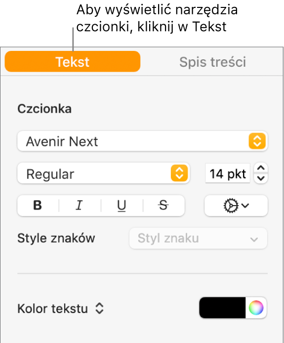 Pasek boczny Format z wybraną kartą Tekst oraz widocznymi narzędziami do zmieniania czcionki i wielkości czcionki oraz dodawania stylów znaków.